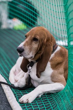 Bild 100 - RL TC RW Wahlstedt - Der Club an der Alster : Ergebnis: 1:5